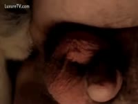 Close up episode of brute fucking dude's wazoo